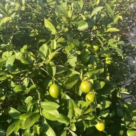 Appartement By The Church On *